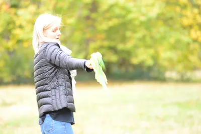 DSC_0500 (Large).JPG